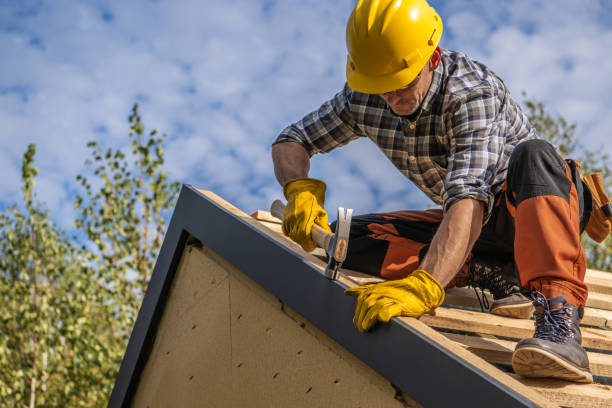 Steel Roofing